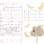 【ダウンロード無料】PLACOLE＆DRESSYオリジナル 『プラコレ婚姻届』に3月の新デザインが5種登場！